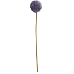 Bloem Allium^ Online