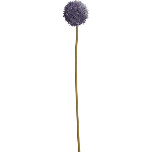 Bloem Allium^ Online