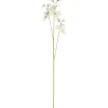 Kunstbloem Sweet Pea Crème^ Sale